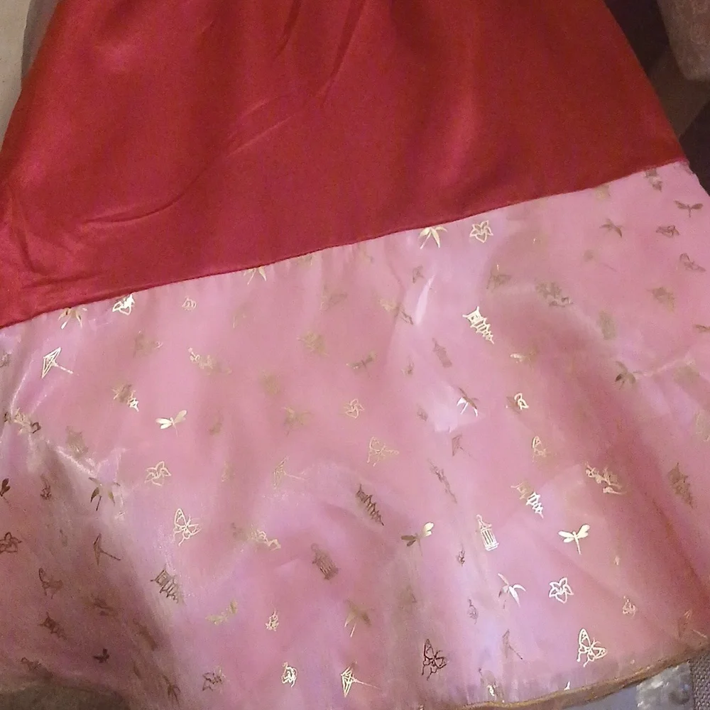 Disney Princess Mulan Dress Costume